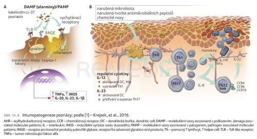 Rychlý nástup účinku bimekizumabu u pacienta s psoriatickou erytrodermií