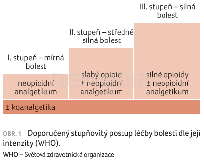 Novinky v léčbě bolesti