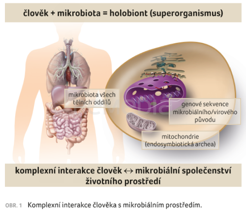 Člověk a mikroorganismy – proti sobě, nebo raději spolu?