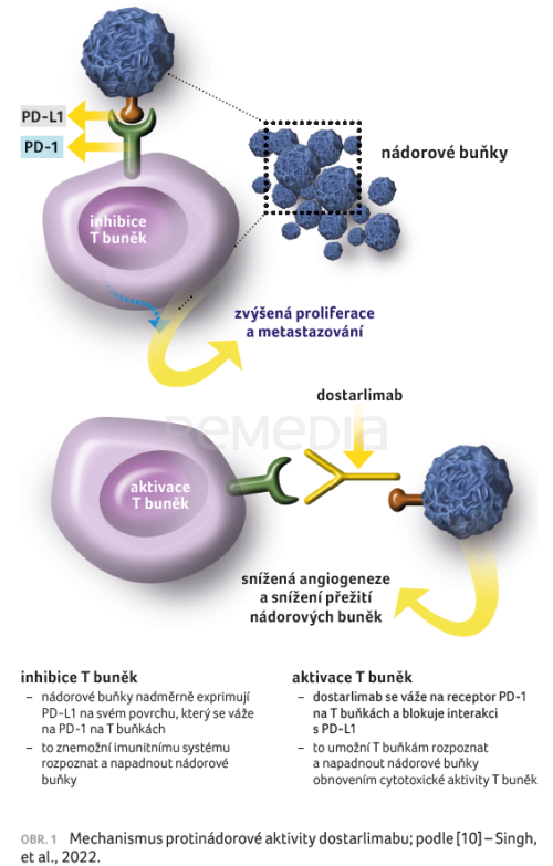 Dostarlimab