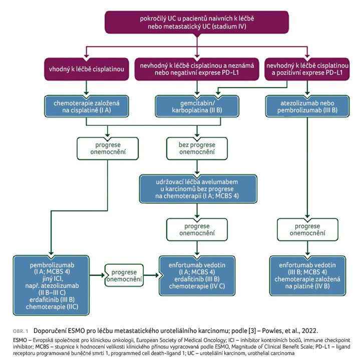 OBR. 1 Doporučení ESMO pro léčbu metastatického uroteliálního karcinomu; podle [3] – Powles, et al., 2022.