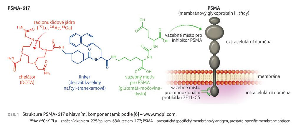 OBR. 1 Struktura PSMA‑617 s hlavními komponentami; podle [6] – www.mdpi.com.