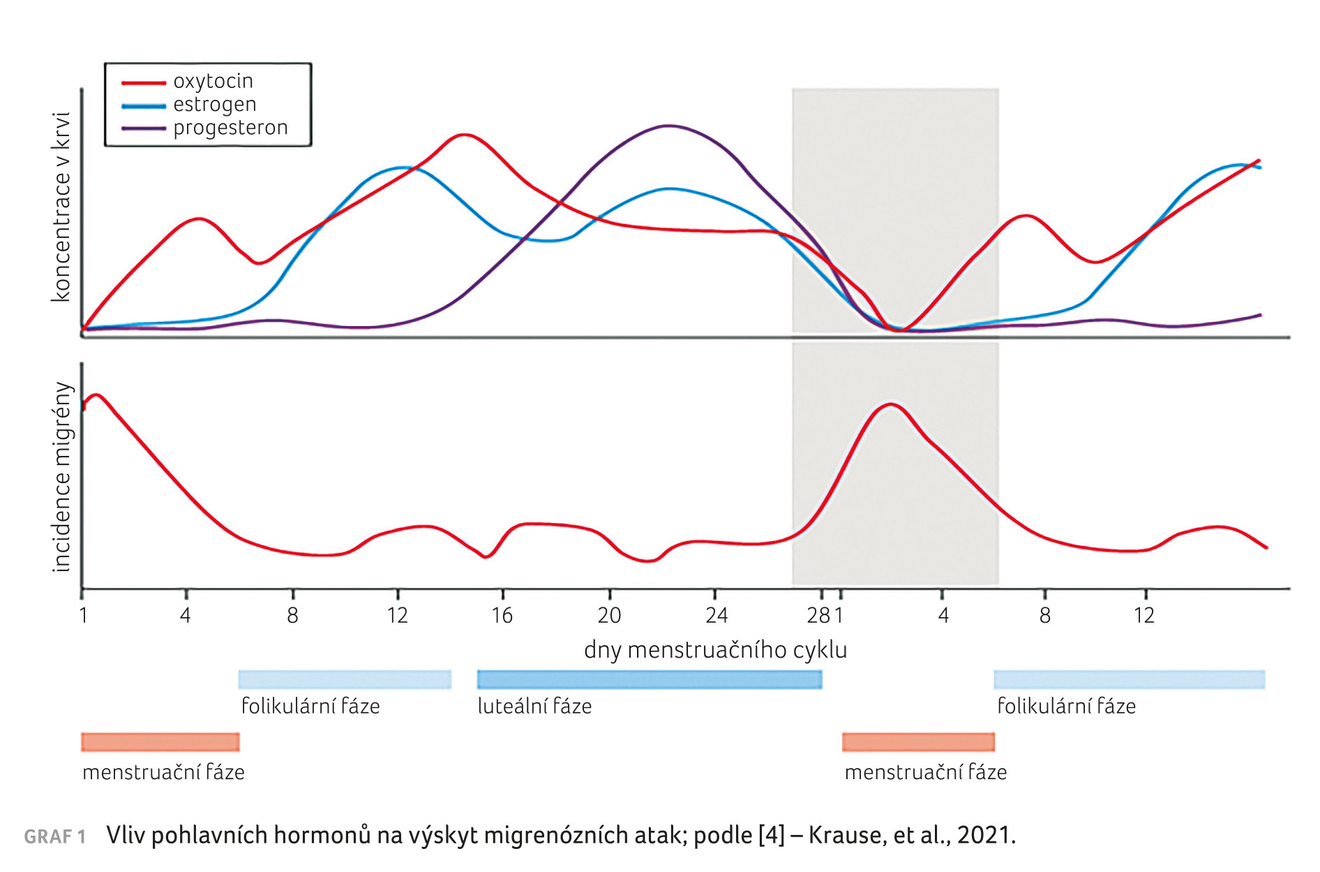 GRAF 1 Vliv pohlavních hormonů na výskyt migrenózních atak; podle [4] – Krause, et al., 2021.