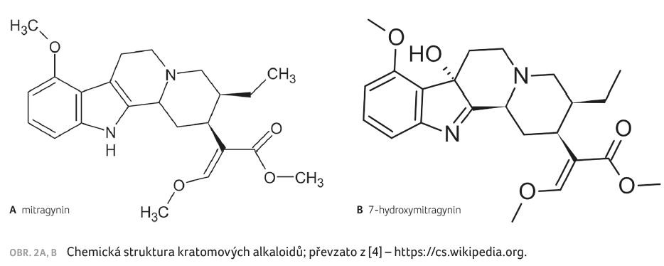 OBR. 2A, B Chemická struktura kratomových alkaloidů; převzato z [4] – https://cs.wikipedia.org.