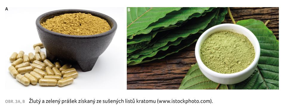 OBR. 3A, B Žlutý a zelený prášek získaný ze sušených listů kratomu (www.istockphoto.com).
