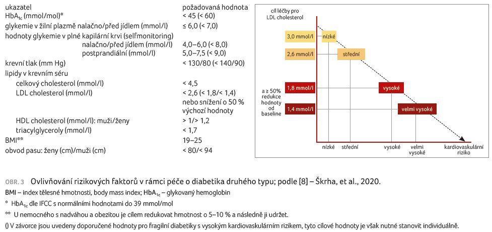 OBR. 3 Ovlivňování rizikových faktorů v rámci péče o diabetika druhého typu; podle [8] – Škrha, et al., 2020. 
