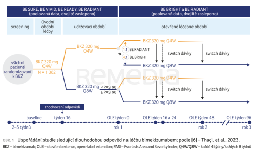 Tříletá léčba psoriázy bimekizumabem ve světle recentních analýz