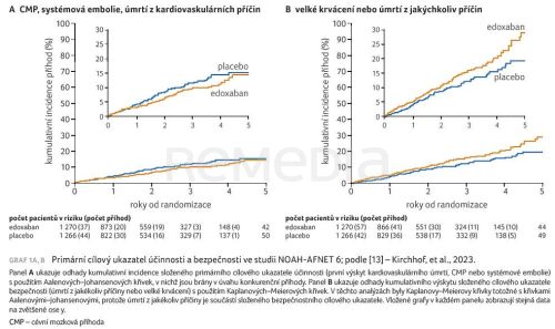 Studie NOAH-AFNET 6