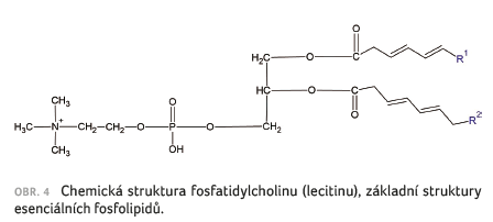 OBR. 4 Chemická struktura fosfatidylcholinu (lecitinu), základní struktury