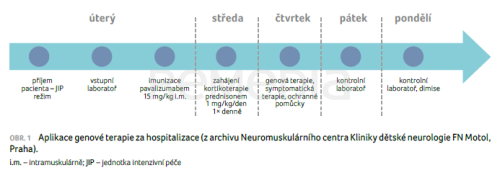 Novinky v léčbě a novorozenecký screening spinální svalové atrofie