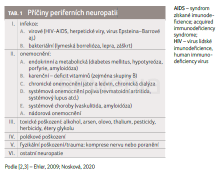 Suplementace vitaminů, jejich vliv na periferní neuropatie z pohledu farmaceuta