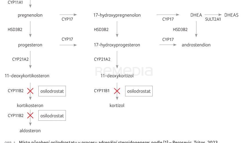 Osilodrostat