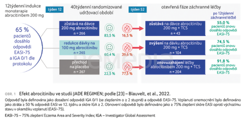 Optimalizace léčby atopické dermatitidy abrocitinibem pohledem odborníků