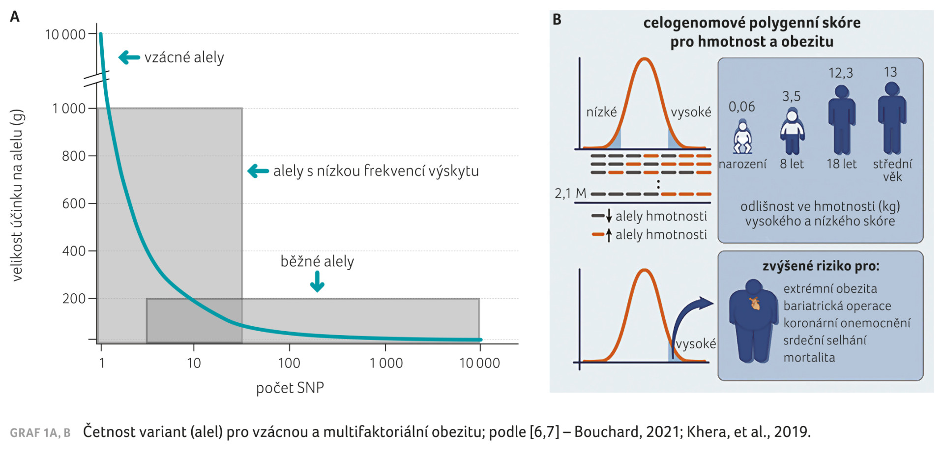 GRAF 1A, B Četnost variant (alel) pro vzácnou a multifaktoriální obezitu; podle [6,7] – Bouchard, 2021; Khera, et al., 2019.