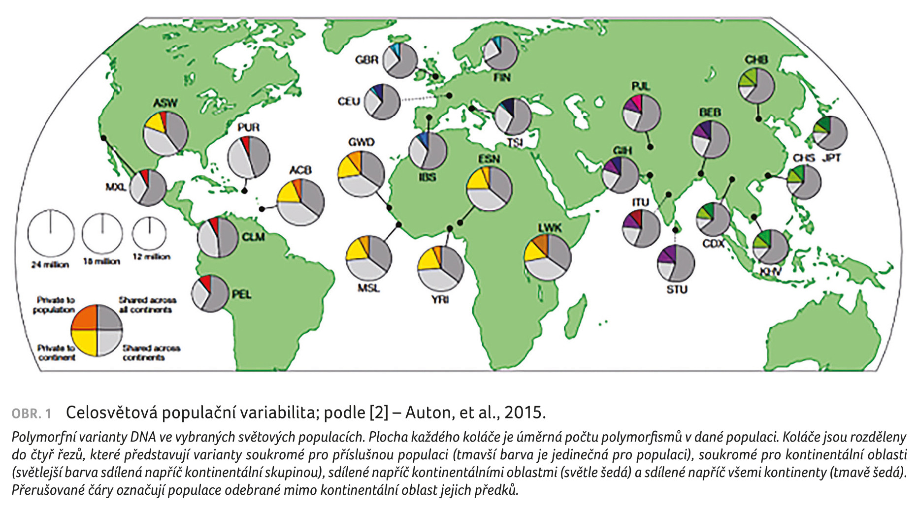 OBR. 1 Celosvětová populační variabilita; podle [2] – Auton, et al., 2015.