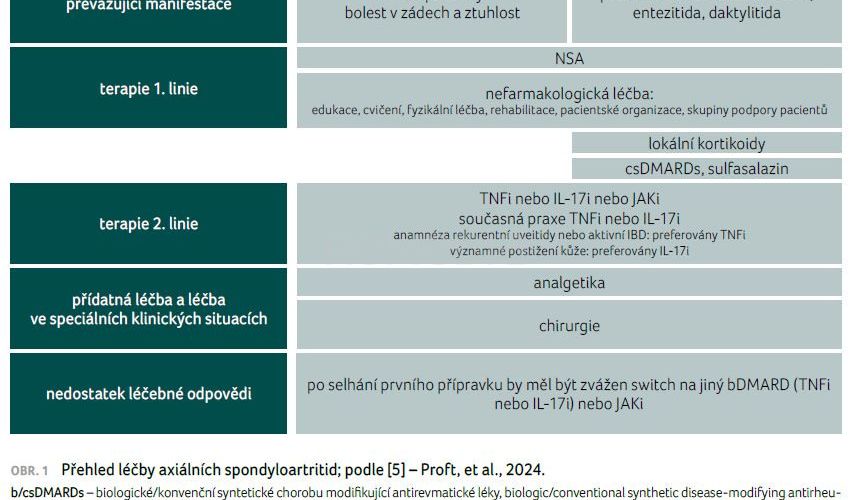Spondyloartritidy pod lupou: Komorbidity, extramuskuloskeletální projevy a optimalizace léčby v dlouhodobé perspektivě
