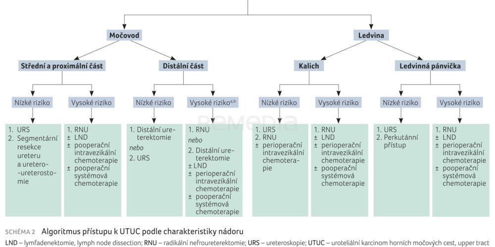 MIBC v roce 2025: Kam se posunuly diagnostika a léčba a jaké otázky se aktuálně řeší?