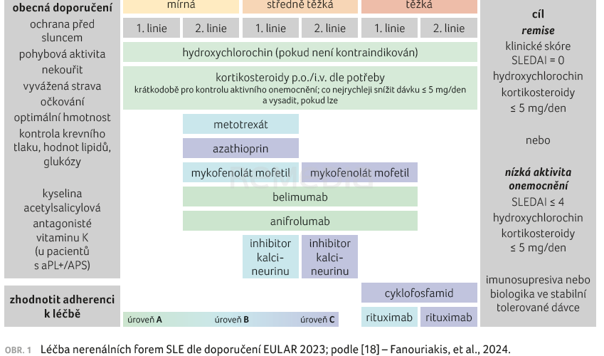 Postavení anifrolumabu v prevenci orgánového poškození u systémového lupus erythematodes