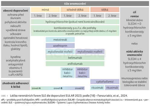 Postavení anifrolumabu v prevenci orgánového poškození u systémového lupus erythematodes