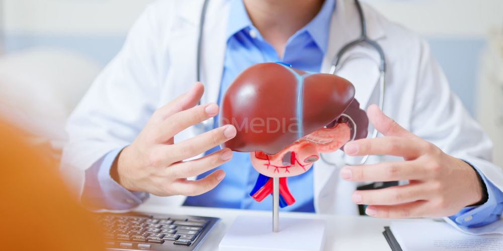 O játra je třeba se zajímat dřív, než se jejich poškození projeví