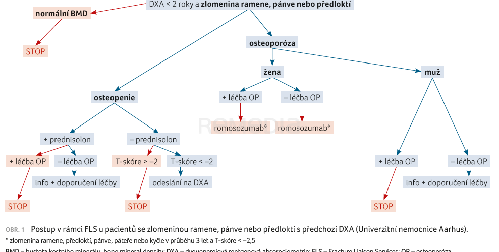 Vybrané novinky v péči o pacienty s osteoporózou
