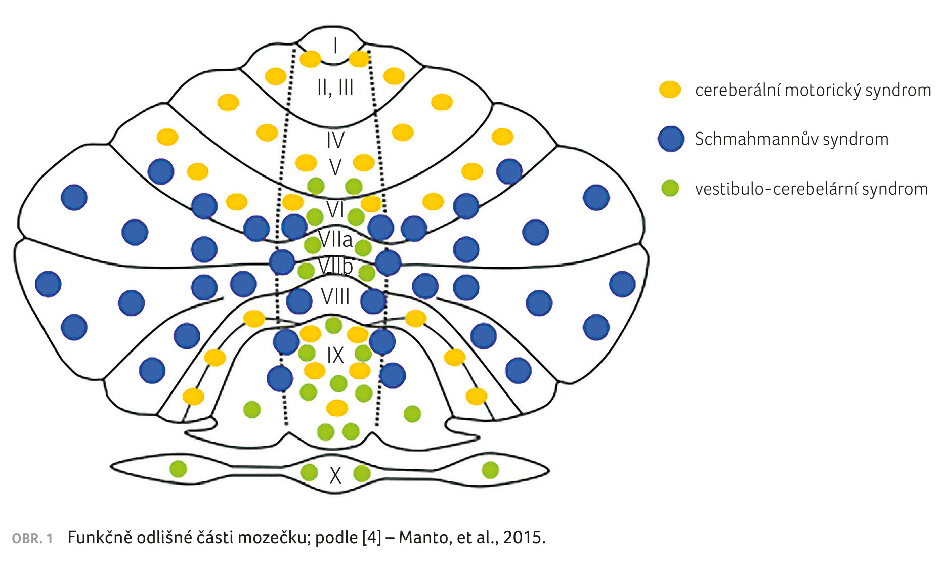 OBR. 1 Funkčně odlišné části mozečku; podle&nbsp;[4] – Manto, et al., 2015.
