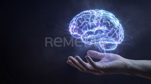 Genetický restart – když axony znovu najdou cestu