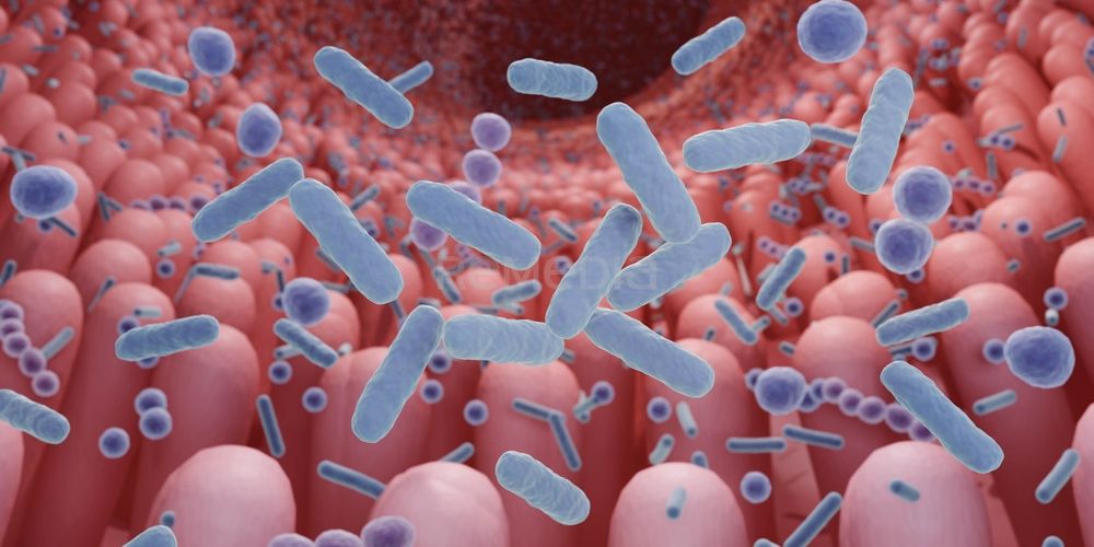 Střevní mikrobiota – její úloha ve fyziologických i patofyziologických metabolických procesech
