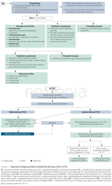 SCHÉMA 1 Algoritmus diagnostického a&nbsp;léčebného přístupu k&nbsp;BC a&nbsp;UTUC