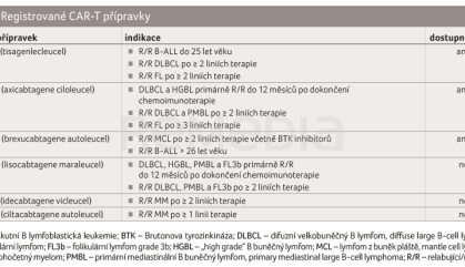 TAB. 1 Registrované CAR-T přípravky