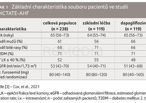 TAB. 1 Základní charakteristika souboru pacientů ve studii DICTATE-AHF