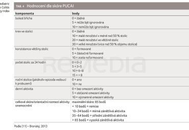 TAB. 4 Hodnocení dle skóre PUCAI TAB. 4 Hodnocení dle skóre PUCAI